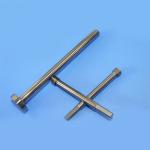 Cemented Carbide Stamping Mold Tungsten Carbide T-Shaped Die for Metal