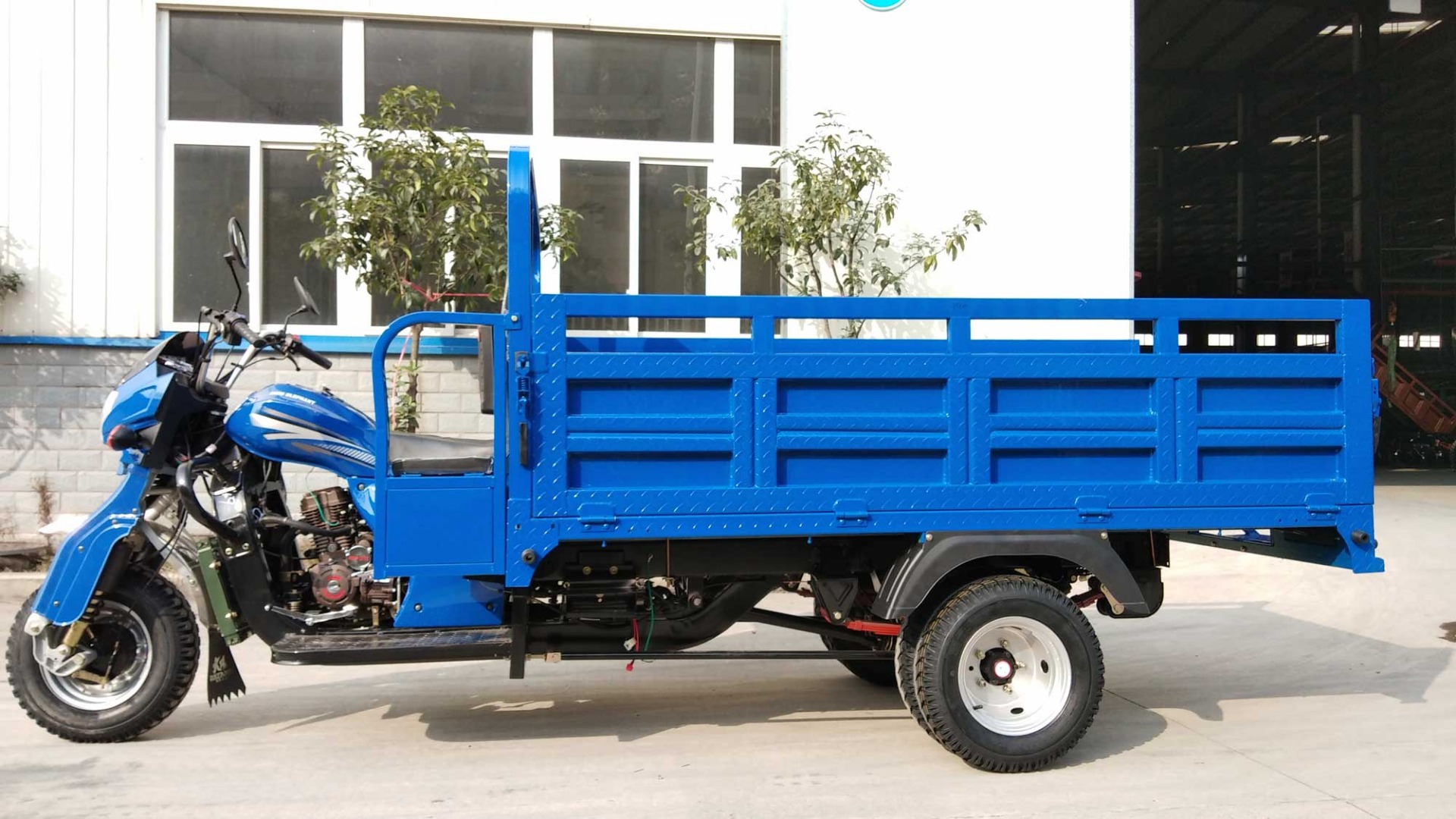 250CC/300CC Engine DAYANG Customized Freestyle Motorized Tricycle for Easy Cargo Loads