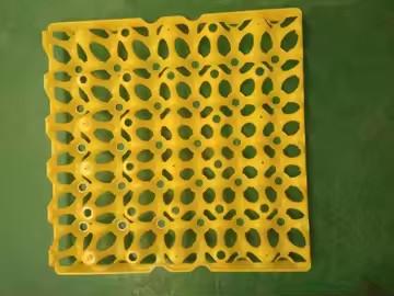 Colorful Yellow Plastic Blister Thermoformed Vacuum Plate Egg Packaging