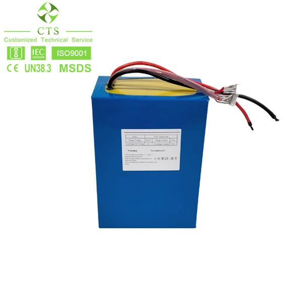 Rechargeable Citycoco Batterie Electric Bicycle Bike Li Ion Lifepo4 Battery 48v