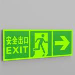 Rectangle Subway Photoluminescent Signage Fire Evacuation Door Signs