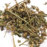 Liver protection natural herbal ingredients, Aiye Leaf P.E 10:1, Dermatitis