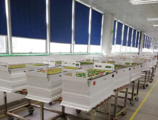 400Ah 48V LiFePO4 Battery