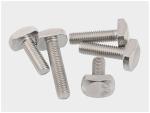 T type bolt Stainless steel hammer head bolt Stainless steel 304 t bolt