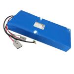 CE Electric Car 29.4V 54Ah Custom Lithium Battery Packs