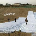 Landfill Sewage Treatment Channel Seepage Prevention HDPE Geomembrane Waterproof
