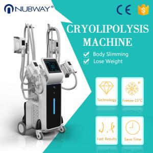 Wholesale 4 handles cryolipolysis fat freezing / cryolipolysis slimming machine / criolipolisis for fat from china suppliers