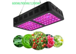 Wholesale Mirrors Bright LED Indoor Grow Lights 1200 Watt 50/60 Hz 300×195×60 Mm from china suppliers