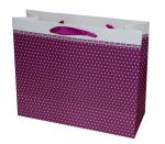 Small Points Classic Gift Paper Bag With Matt Coat For Gift Packaging