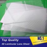 Buy Animation Lenticular Lens Blanks 3D Sheets PET Flip Action Motion 60 LPI 3D