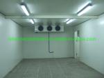 Supermarket Frozen Food Storage Room with -10-0C Temperature and Freon