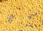 Peeled Food Agricultural Products Red Adzuki Beans For Gentle Nourishing Stomach