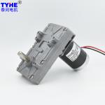 Small 12V 24V PMDC Flat Gear Motor Reducer DC Motor Double Shaft