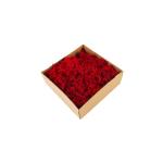 Decorative Real Natural Preserved Natural Moss Green Environmental Protection