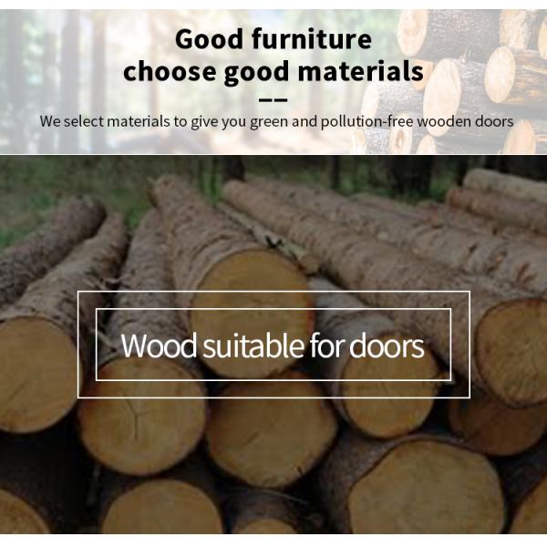 Luxury Style Top Quality Black Color Bright Painting Side Glass Fixed Panel Front Pivot Door with Stainless Steel Handle