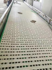 China                  Chinese Food PVC Material Belt Conveyor for Cheap Price              on sale