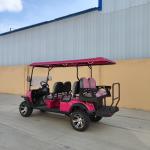 6 Seater Pink Electric Golf Cart With Lead Acid Battery