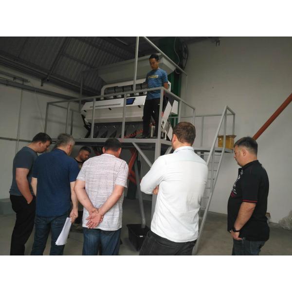 Kidney Bean Grain Color Sorter Machine High Accuracy