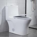 Public Bathrooms Toilets Iapmo Ada American Standard Elongated Toilet One Piece