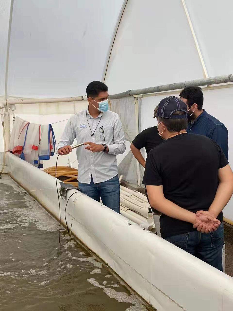 Dissolved Oxygen Sensor Aquaculture