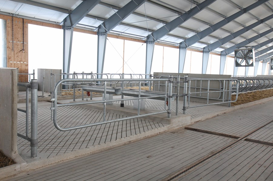 Aluminum Alloy Window Steel Structures for Prefab Poultry Farm Chicken Horse Stall