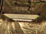 Horticulture 240Watts DIY Led Indoor Garden Lights