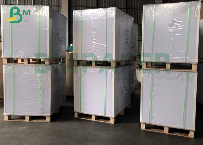 Cup Raw Materials Paper