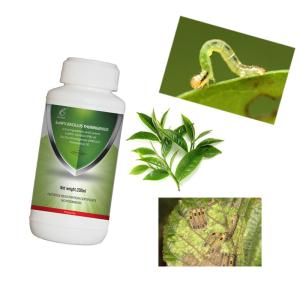 Wholesale All Purpose Insecticide Insect Killer For Vegetable Plants EoNPV &amp; Bt SC from china suppliers