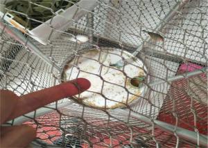 Wholesale High Strength 2mm Flexible Stainless Steel Cable Netting 7x7 from china suppliers
