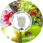 Plant Freeze Protection Covers 32 x 47 Inch Winter Shrub Cover Tree Frost