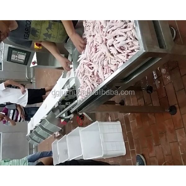 Micron 0.1g High Accuracy Automatic Conveyor Belt Checkweigher Machine Flapper System JZ-W100g
