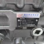 Shacman Truck Water Pump , High Pressure Fuel Injection Pump VG1560080022 diesel