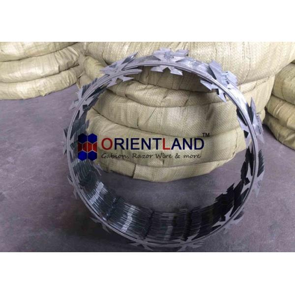 300mm CBT 60 H Type Concertina Razor Wire For Sale 54-56loops