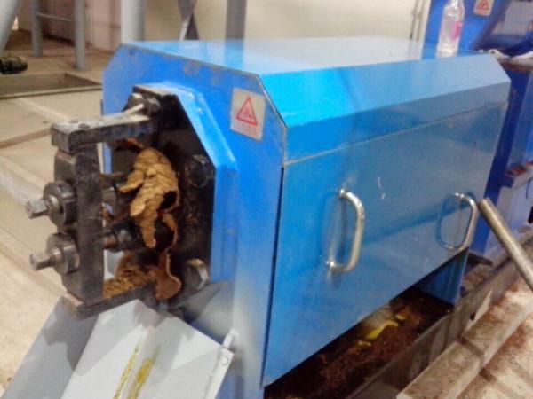 100tph Edible Oil Making Machinery Avocado Mustard Olive Oil Cold Pressing