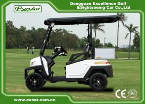 Wholesale EEC Approved Electric Golf Carts / White Plastic 5KW AC Golf Buggy Car from china suppliers