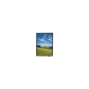 Wholesale 5.0 inch LS050T3SX01 1080*1920 LCD Screen Display from china suppliers