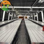 Light Deprivation Span Greenhouse for Mushroom 4.5m 6m Top Height and Roof