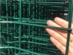 Iron / Stainless Steel Welded Wire Screen PVC Coated Holland Fence For Farm