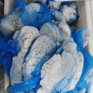 Wholesale IOS 9001 Certified 17-19mm Natural Sheep Casings Long Term Storage from china suppliers