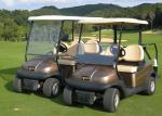 Two Passenger Electric Motor Golf Cart Red Color With Plastic Bodywork