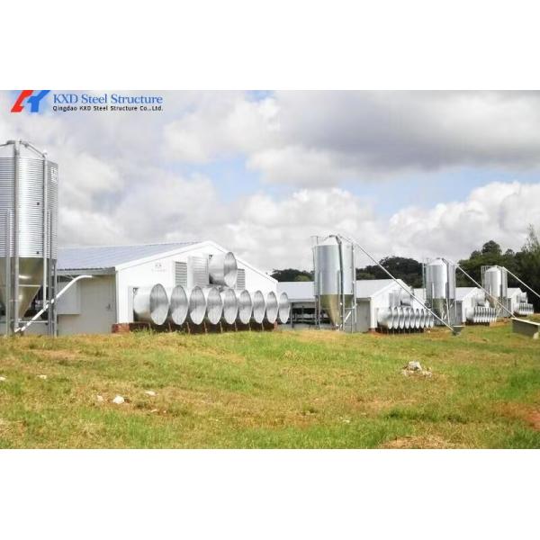 Hot-dip Galvanized Automatic Broiler Chicken Cage System with Adjustable Vents and Corrosion Resistant Design