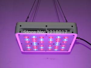 Wholesale 40PCS 5W LED CHIP Apollo 4 LED grow light greenhouse lights plant light,grow lamp plant gr from china suppliers
