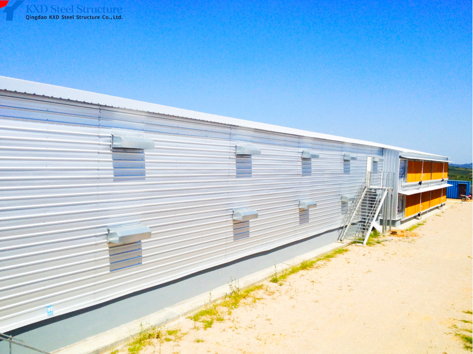 H Section Steel Poultry House Chicken Farm House Building