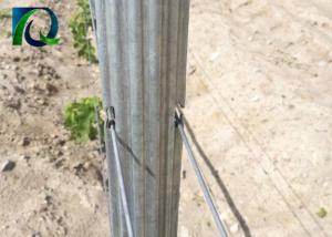 Wholesale 1.5mm 2.0mm 50x40mm Metal Vineyard Trellis Posts With H Holes from china suppliers