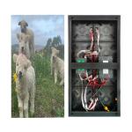High-Performance Magnetic LED Display Wide Viewing Angle in Extreme Conditions