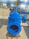 OEM 10" Soft Seat Gate Valve Ductile Iron Valves DN250