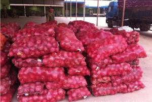 Wholesale Stress Relieving Spicy Red Onions For Restaurant from china suppliers