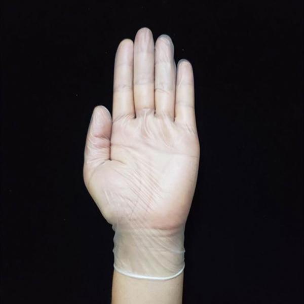 Multifunctional Garden Working Cleaning Disposable PVC Gloves