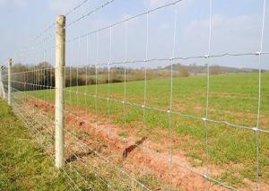 Wholesale 2.4m Hot Dipped Galvanized Steel Cattle Fencing Security Field Agricultural from china suppliers