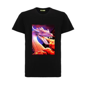 Wholesale Cool 3D Flip Effect T - Shirt 100% Cotton Soft Material For Printing 3D Artwork from china suppliers